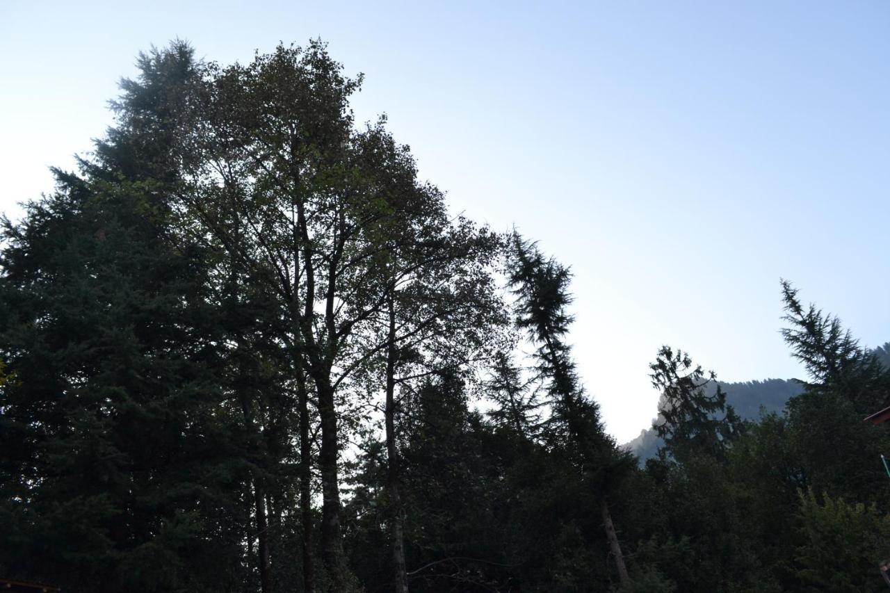 Forest Wood Cottage Manāli Exterior foto